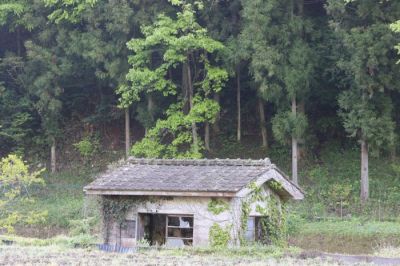 小屋の解体費用はいくら？トタン・プレハブ・木造の相場と安く抑えるポイント【2026年版】