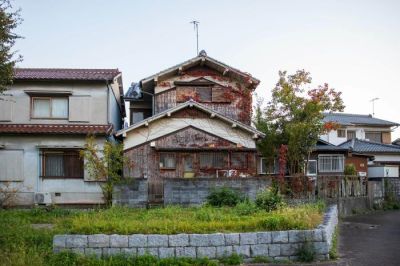 空き家の庭木伐採・庭石撤去の費用は？放置リスクと近隣トラブルを防ぐポイント