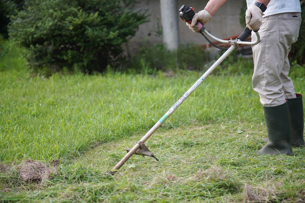 管理の手段①：伐採と雑草の制御